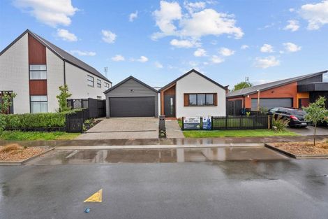 Photo of property in 53 Earp Crescent, Chartwell, Hamilton, 3210