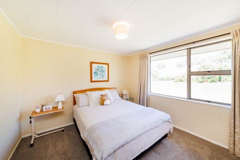 Photo of property in 215 Oxford Street, Ashhurst, 4810