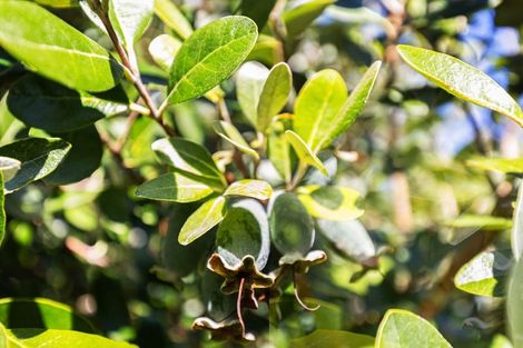 Photo of property in 102 Trewavas Street, Motueka, 7120