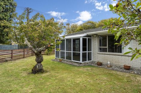 Photo of property in 41 Alexander Road, Raumati Beach, Paraparaumu, 5032