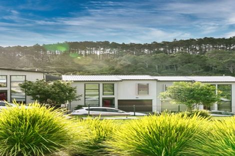 Photo of property in 42 Makamaka Lane, Albany Heights, Auckland, 0632
