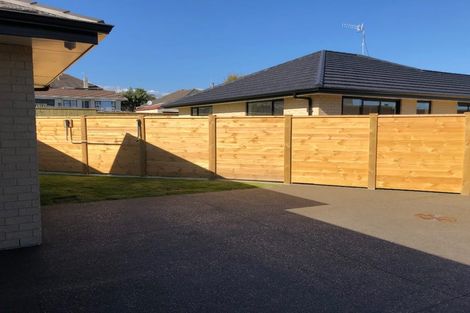 Photo of property in 5b Manchester Street, Levin, 5510