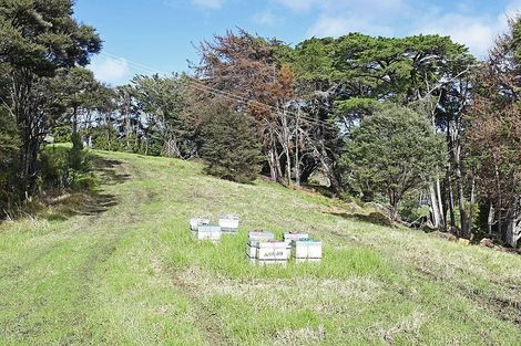 Photo of property in 99 Birdsall Road, Whangateau, Warkworth, 0985