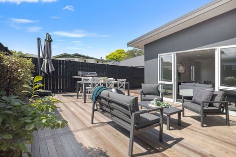 Photo of property in 6a Salisbury Avenue, Terrace End, Palmerston North, 4410