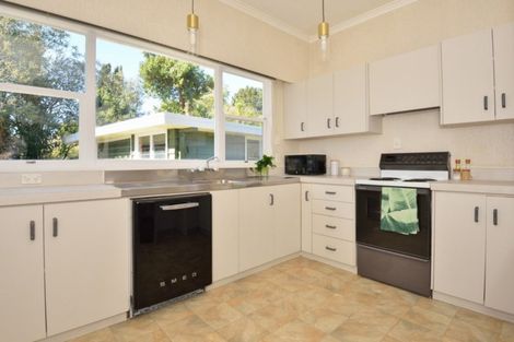 Photo of property in 19 Hinaki Street, Inner Kaiti, Gisborne, 4010