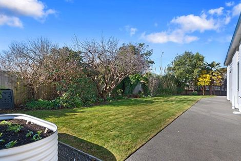 Photo of property in 58 Westminster Street, St Albans, Christchurch, 8014