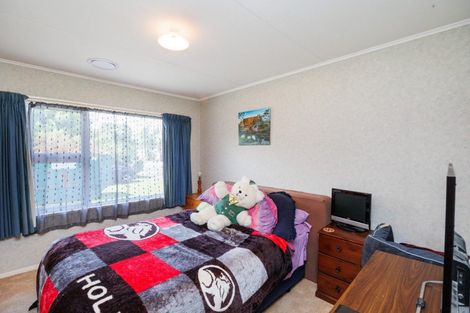 Photo of property in 159 Salisbury Street, Ashhurst, 4810