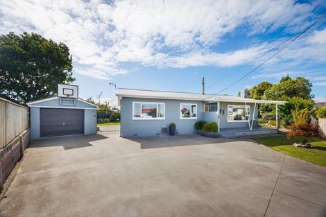 Photo of property in 50 Haydon Street, Roslyn, Palmerston North, 4414