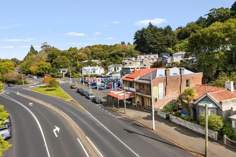 Photo of property in 844 Princes Street, Dunedin Central, Dunedin, 9016