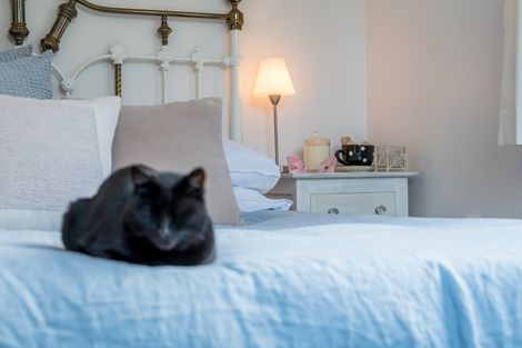 Photo of property in 48 Eastglen Road, Glen Eden, Auckland, 0602