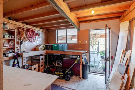 Photo of property in 8 Mcarthur Street, Terrace End, Palmerston North, 4410
