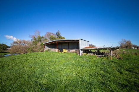Photo of property in 101 Shirriffs Road, Awapuni, Palmerston North, 4412