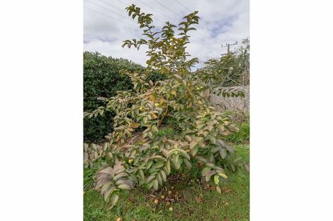 Photo of property in 6 Darwin Road, Kerikeri, 0230