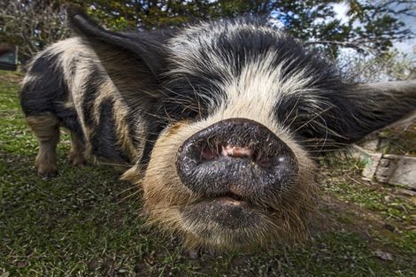 Photo of property in 745 Whareora Road, Whareora, Whangarei, 0175