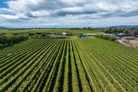 Photo of property in 5 Brook Street, Renwick, 7204