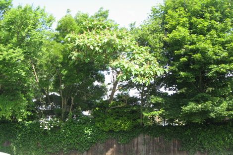 Photo of property in 50 Bletsoe Avenue, Spreydon, Christchurch, 8024