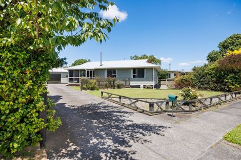 Photo of property in 132 Stanford Street North, Ashhurst, 4810