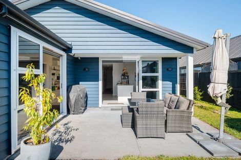 Photo of property in 8 Wyrall Way, Chartwell, Hamilton, 3210