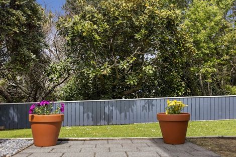 Photo of property in 22 Ngaio Street, Strandon, New Plymouth, 4312