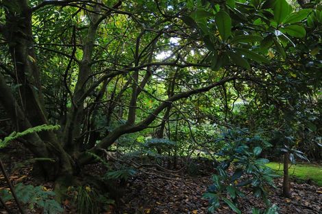 Photo of property in 2567 Rings Road, Coromandel, 3506