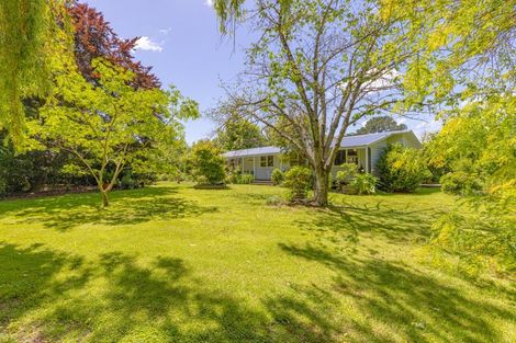 Photo of property in 274 High Street North, Carterton, 5713