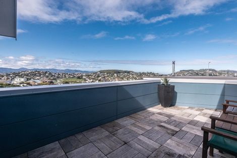 Photo of property in 87 Fox Street, Ngaio, Wellington, 6035