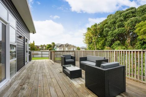 Photo of property in 39 Rainforth Street, Roslyn, Palmerston North, 4414