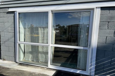 Photo of property in 127 Exmouth Road, Northcote, Auckland, 0627