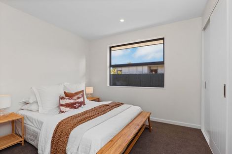 Photo of property in 119 Jimmy Adams Terrace, Lincoln, 7608