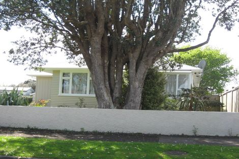 Photo of property in 7 Barry Street, Ferndale, New Plymouth, 4310