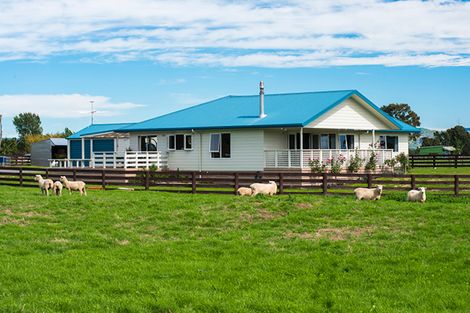 Photo of property in 117 Hansen Road, Makauri, Gisborne, 4071