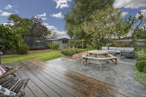 Photo of property in 507 Wellwood Street, Saint Leonards, Hastings, 4120