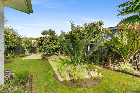 Photo of property in 328 Cook Drive, Whitianga, 3510