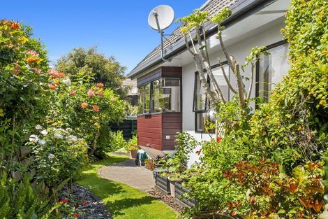 Photo of property in 33 Kotuku Place, Matua, Tauranga, 3110