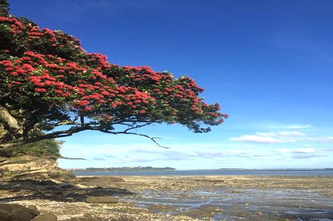 Photo of property in 73 Takahe Road, Titirangi, Auckland, 0604