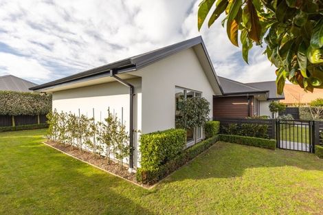 Photo of property in 8 Wedmore Close, Burwood, Christchurch, 8083