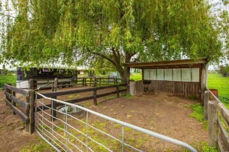 Photo of property in 41 Sheehan Street, Kihikihi, Te Awamutu, 3800