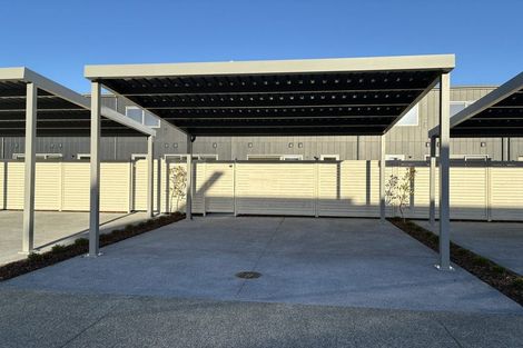 Photo of property in 101 Waituarua Drive, Takanini, Auckland, 2112