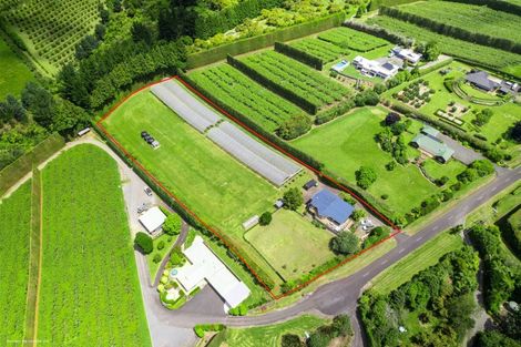 Photo of property in 54 Sinclair Road, Whakamarama, Tauranga, 3179