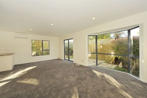 Photo of property in 2/337 Selwyn Street, Addington, Christchurch, 8024