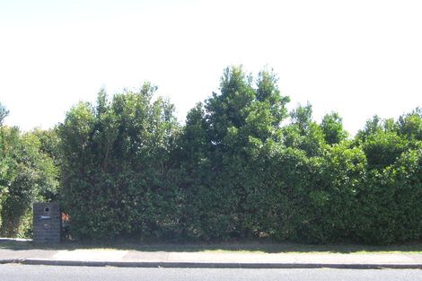 Photo of property in 91 Manuka Road, Bayview, Auckland, 0629