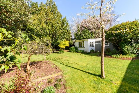 Photo of property in 195 The Terrace, Ashhurst, 4810