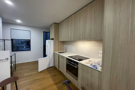 Photo of property in 13 Hadlow Terrace, Grey Lynn, Auckland, 1021