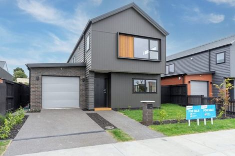 Photo of property in 27 Earp Crescent, Chartwell, Hamilton, 3210