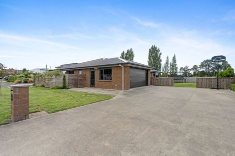 Photo of property in 12 Molesworth Street, Carterton, 5713