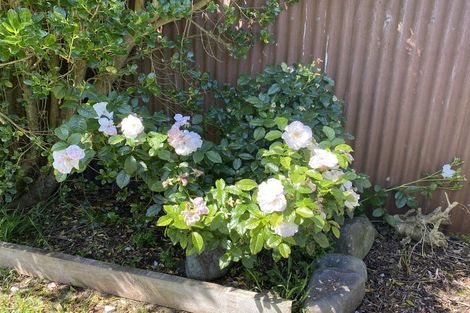 Photo of property in 100 Centennial Avenue, Waitara, 4320