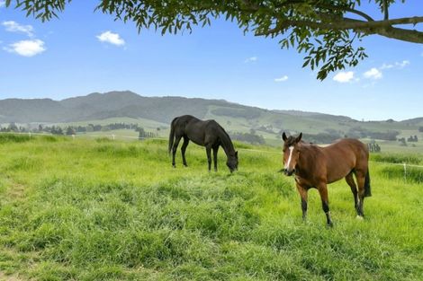 Photo of property in 150 Hicks Road, Maungatautari, Cambridge, 3494