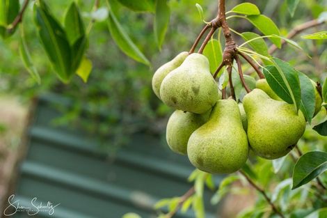 Photo of property in 429 Heatley Road, Whakapirau, Maungaturoto, 0583