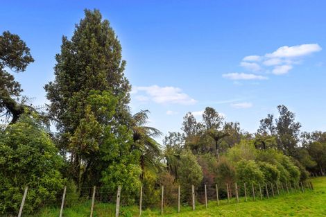 Photo of property in 9 Betty May Drive, Pyes Pa, Tauranga, 3173