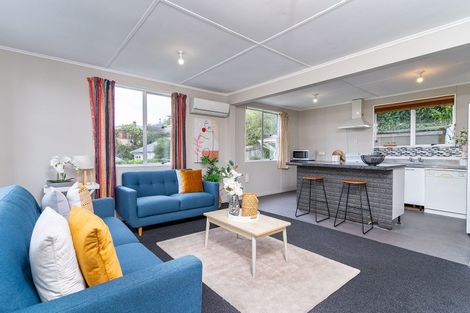 Photo of property in 55 Islington Street, North East Valley, Dunedin, 9010